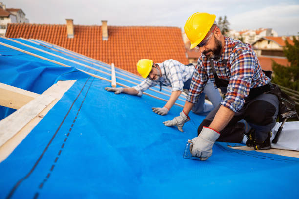 Fast & Reliable Emergency Roof Repairs in Allen Park, MI