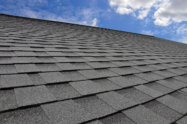 Best Cold Roofs  in Allen Park, MI